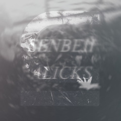 Alicks & Senbeii - Beautiful Pieces (Subsets Remix)