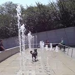 Score The Fountain - Mike McGinnis