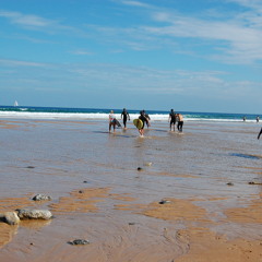 Джаз Кавер Трио PLAYTIME. Cover. Fantasy