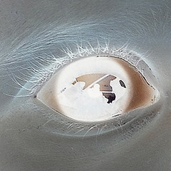 AURORA VOX 2 by Piero Arnò & baby Aurora