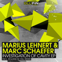 Marius Lehnert & Marc Schaefer - The Cave (Roland M. Dill Remix)