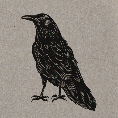RAVEN