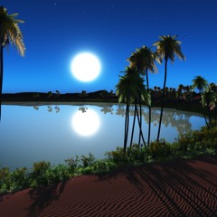 Summer Night