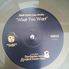 Matt Love Feat Liam Murphy - What You Want (logicaldream Acid Remix)
