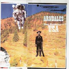 Arndales - Two Hour Horse Of The Year Show