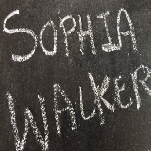 GBA 172 Sophia Walker