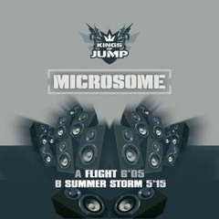 Microsome - Flight (Original Mix)