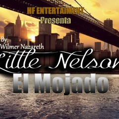 Little Nelson- El Mojado.Prod. By Wilmer Nazareth. (HF ENTERTAIMENT)