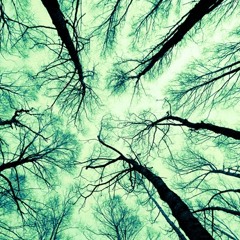 Alex Suround - Time to fly