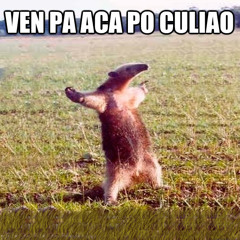 Efese Bro, Mc Trn, Ezaak & BajoTierra - Venga (Prod. UnderMuffin) (Beat Ocrones)