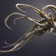 Forgotten Cambrian Creatures