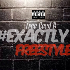 Exactly Freestyle