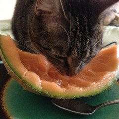 Turn down for ... ugh.