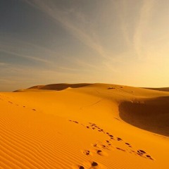 الشيخ عبدالله عواد الجهني تلاوة من سورة الأنبياء