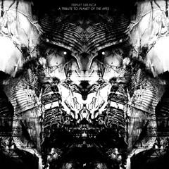 Primat - Virunga