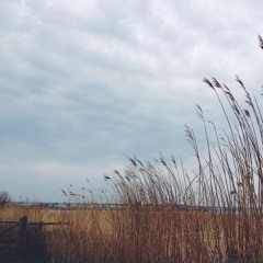 ขี้หึง sillyfools