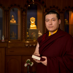 Karmapa: a message of appreciation