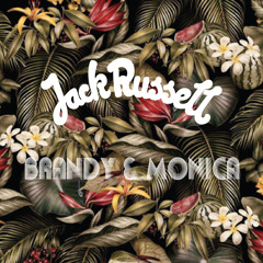 Jack Russell - Brandy & Monica