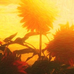 Sunflowers (Autumn)