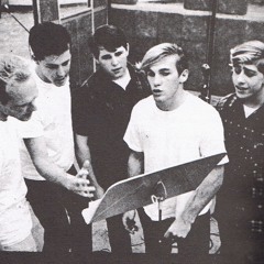 And Your Dream Comes True - Beach Boys Cover by Joel Koster