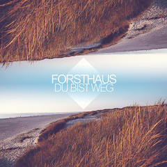 DU BIST WEG