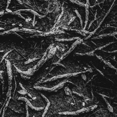 Puedo Avanzar - CAMUS