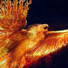 Rock it! at Fire Byrd