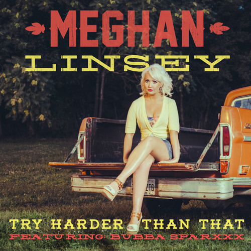 Meghan Linsey  (featuring Bubba Sparxx)- "Try Harder Than That"
