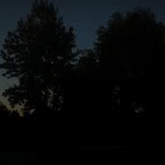 blvxvrt x KD - b a c k y a r d b o i