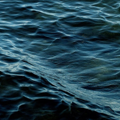 Forren - One N Only - FREE DL IN DESCRIPTION