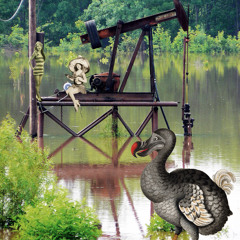 CLUCK OLD HEN: Lonesome D String Band with SJZB