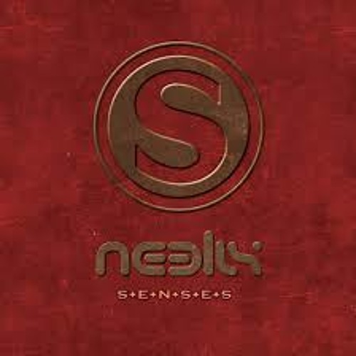 Neelix   Senses (Somebody That I Used To Know) 2012