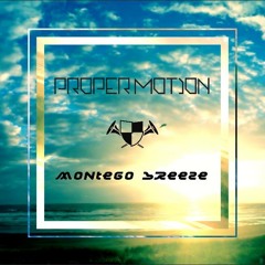 Proper Motion - Montego Breeze [EXCLUSIVE ARISE Festival PREMIERE]