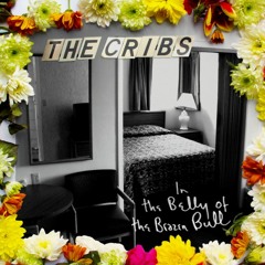The Cribs - Glitters Like Gold