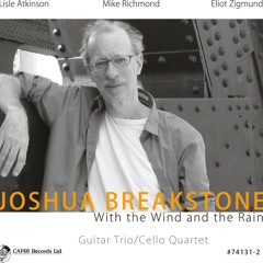 Some Kinda Mean - Joshua Breakstone