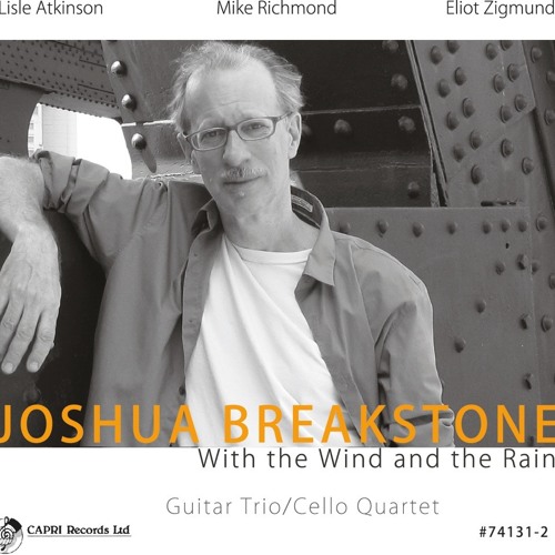 Some Kinda Mean - Joshua Breakstone