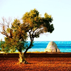 Zinnekets Summer Mix 2014