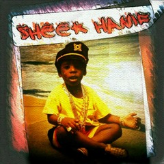 Sheek Hanif Ft Money RO - Get it Back