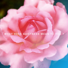 What does quietness mean to you? I