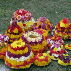 02 Track 2 Bathukamma
