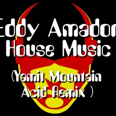 Eddy Amador - House Music (Yamit Mountain Acid Remix )