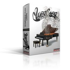 ATTENTION PRODUCERS: WestCoastCinematics Kit Demo!