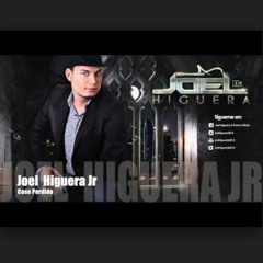 Joel Higuera - caso perdido