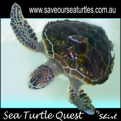 Sea Turtle Quest by Shirley Lynn