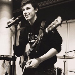 Shawn Mendes - The Weight (+ Crowd)