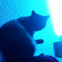 Eine Unerwartete Reise in die Höhle (Snippet)