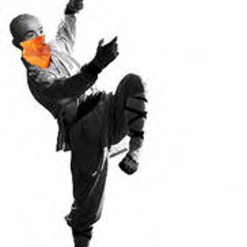 Vibext - The Shaolin Master