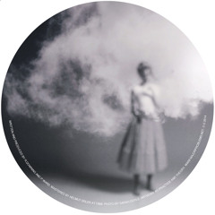 Premiere: Terriers - House No9/Stardragon