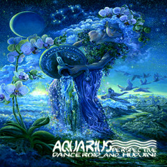Danceroid & Hudjini - Aquarius_Perspective* (2012)