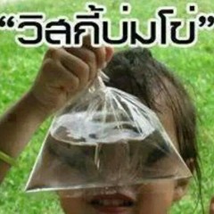 เพลง ตราบธุลีดิน